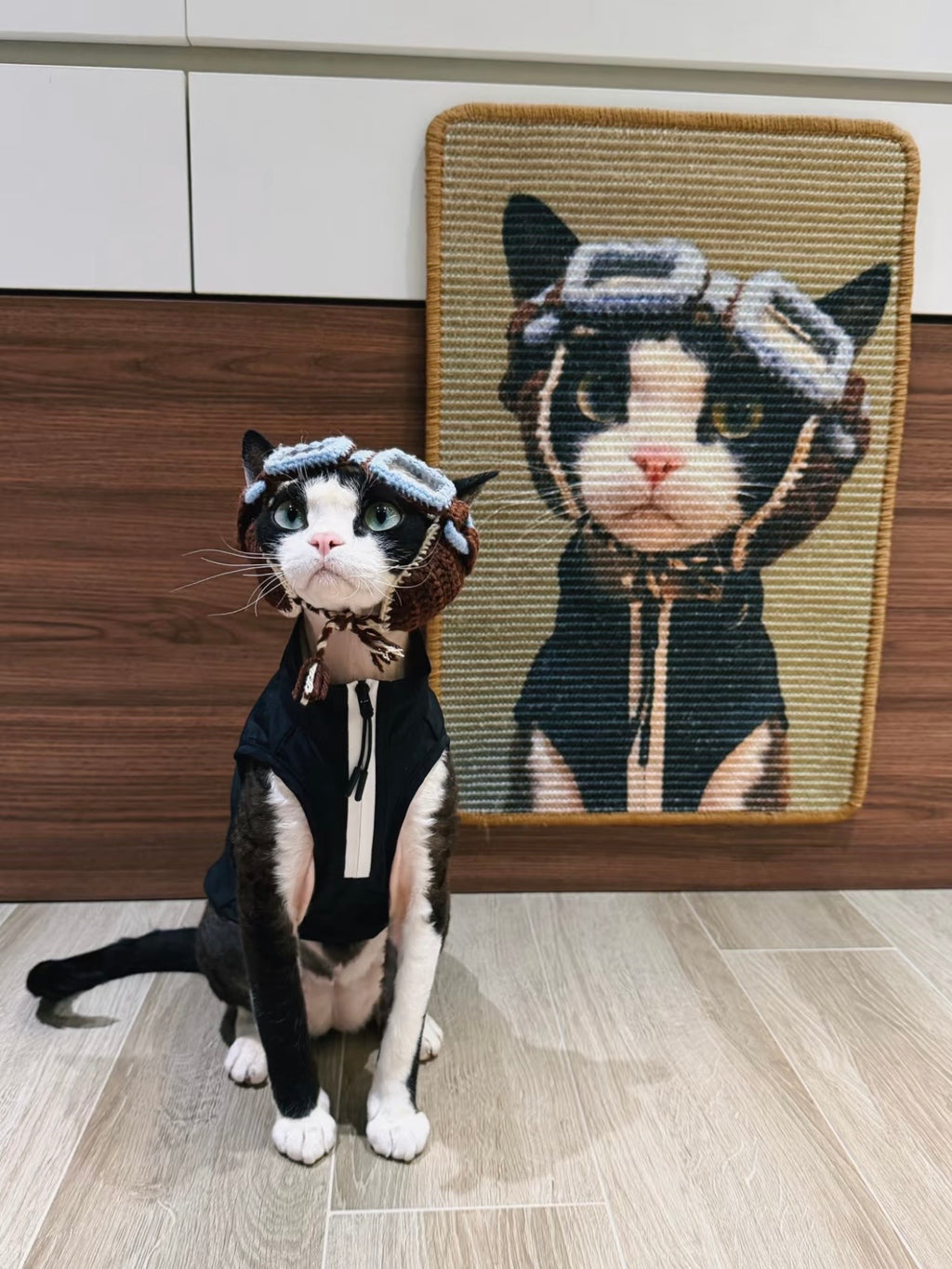 15.7 by 23.6 inch personalized pet portrait cat scratching board with rounded trim