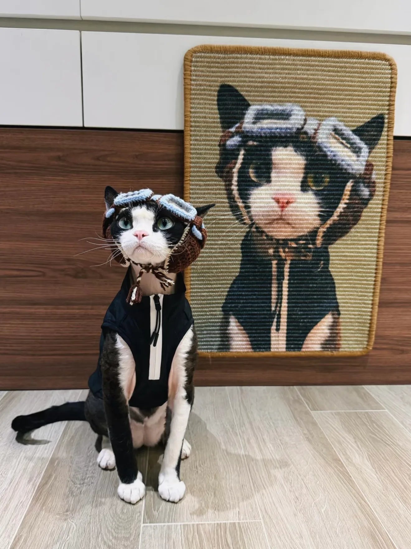 Black and white cat beside a custom aviator portrait scratcher