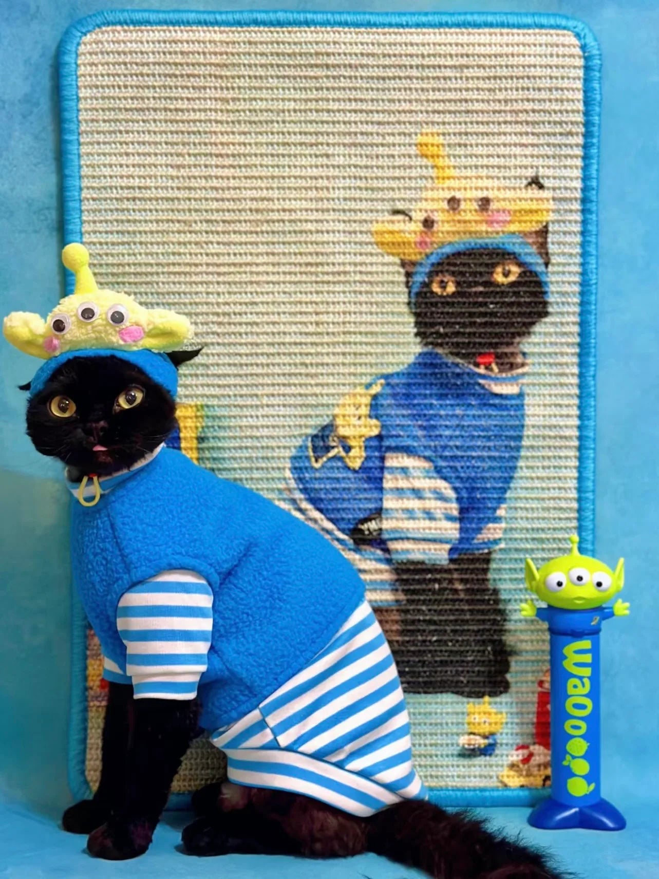 Black cat in a blue costume beside a custom scratcher portrait