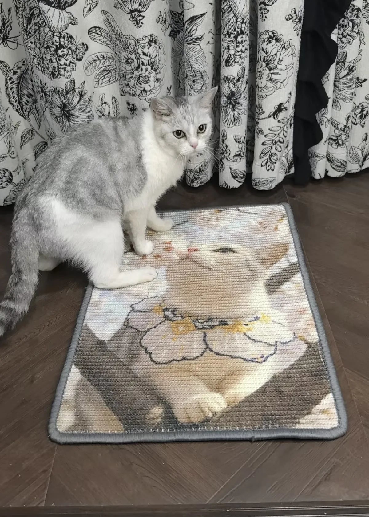 Customer cat standing on a scratcher printed with its portrait