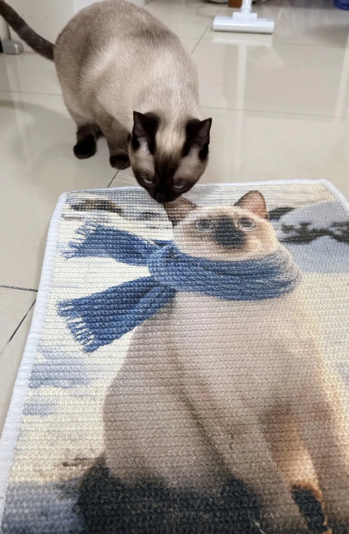 Customer cat investigating its custom portrait scratcher