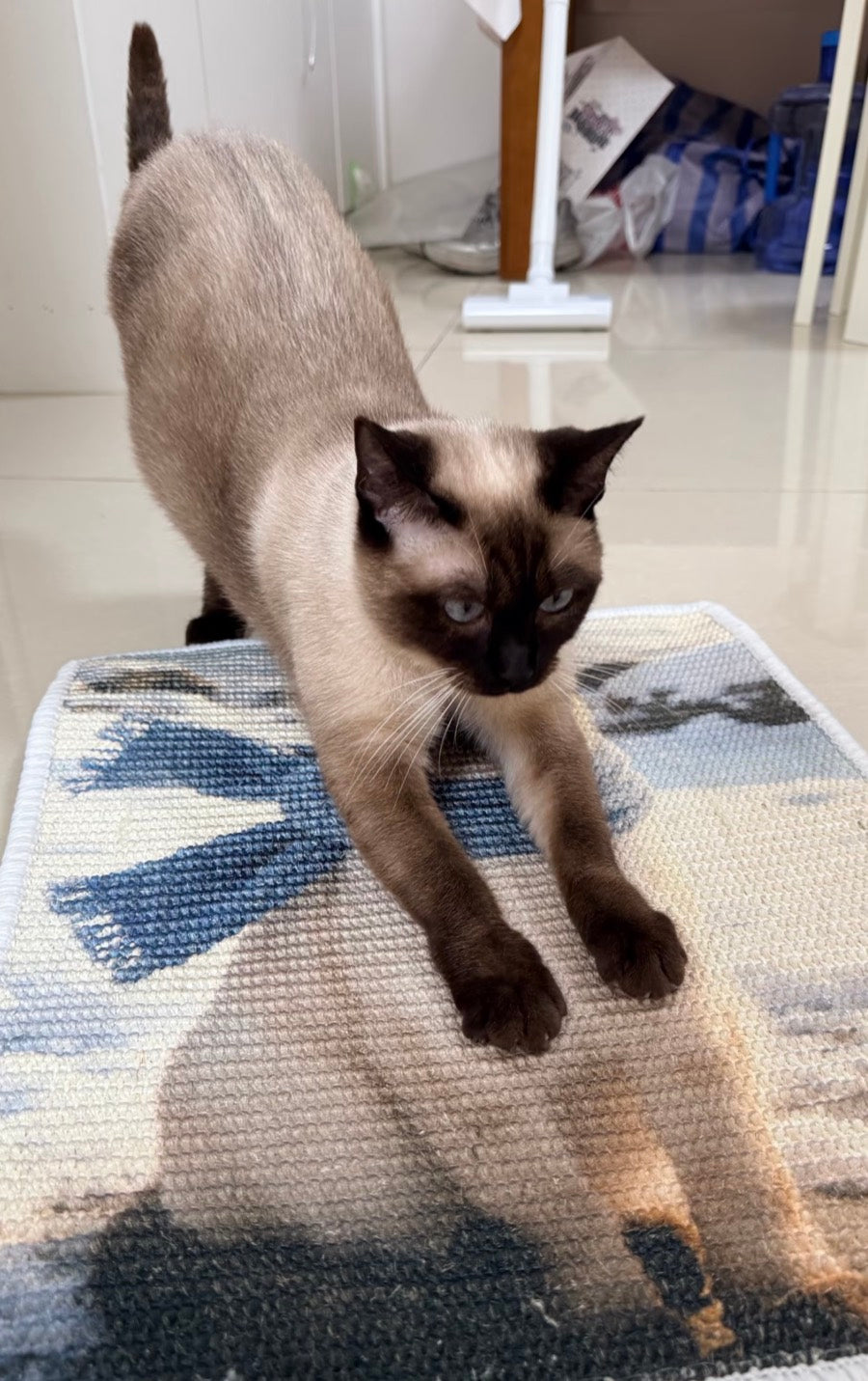 Customer Siamese cat stretching and scratching on its custom portrait mat