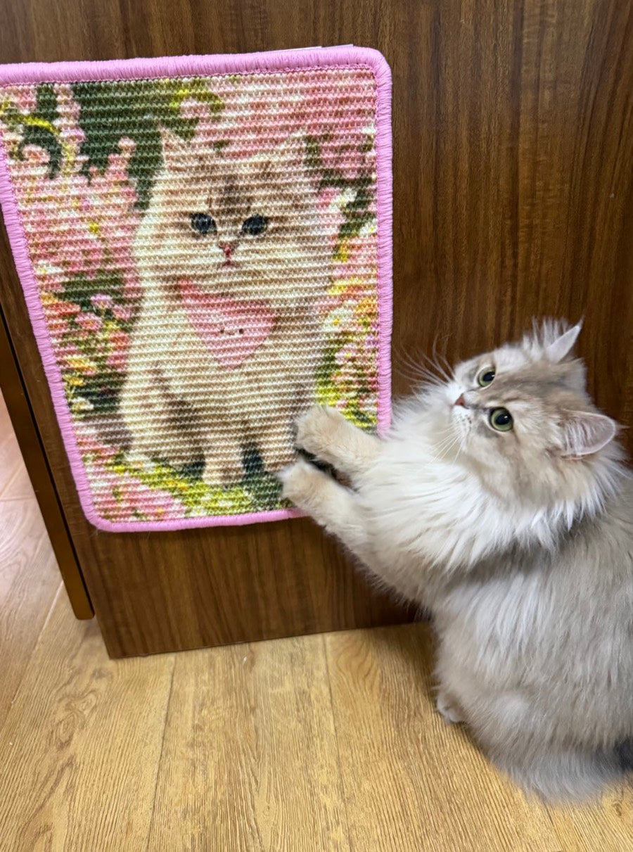 Customer cat reaching toward a pink-edged portrait scratcher made from its younger photo